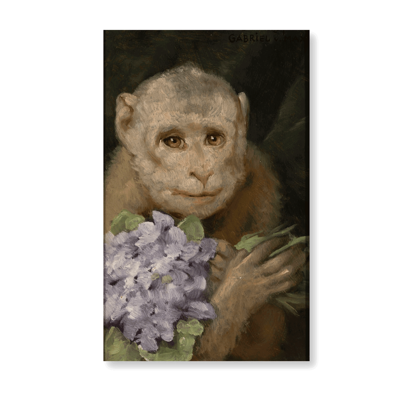 Monkey With A Bouquet Of Violets (1880s) - Jasper & Jute