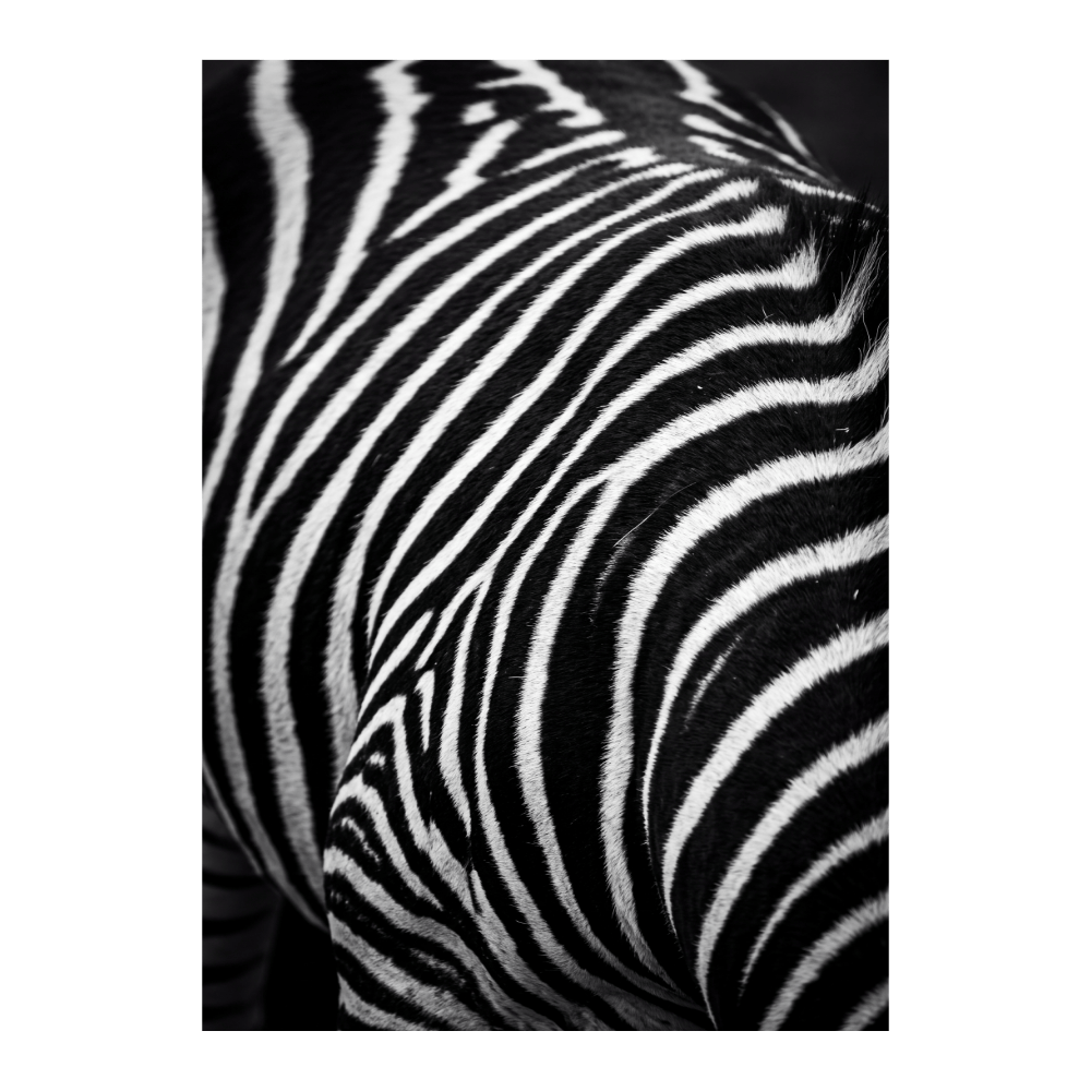 Monochrome Striations