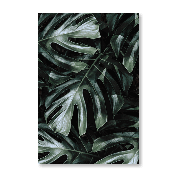Monstera - Jasper & Jute