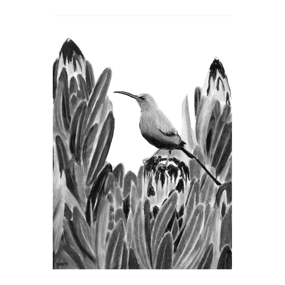 Mother Sunbird