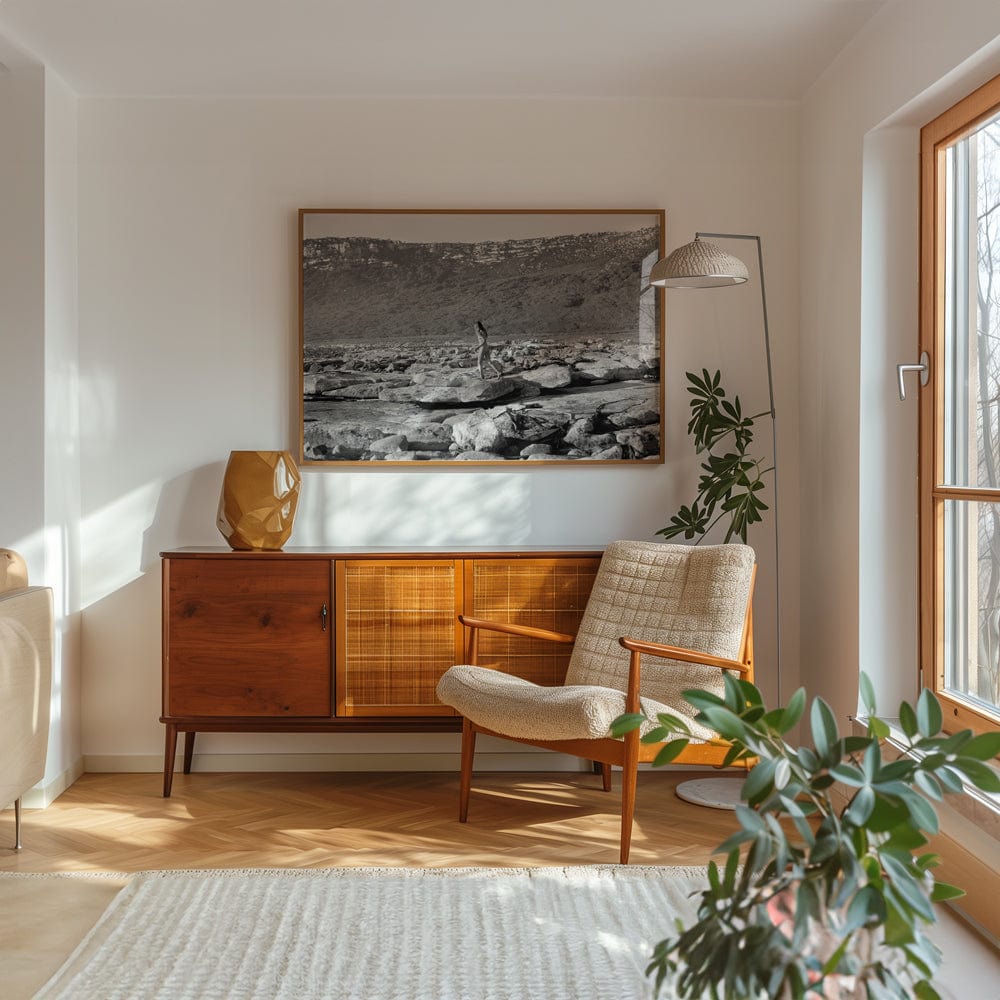 Seashore | Limited Edition