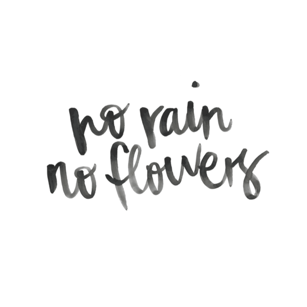 No Rain No Flowers