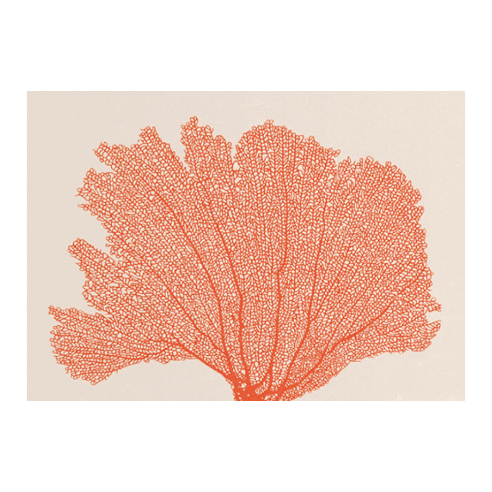 Orange Coral Art