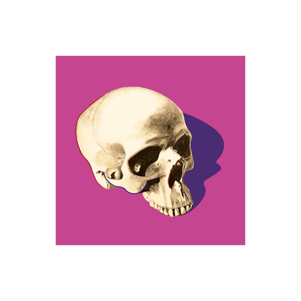 POP SKULL IV