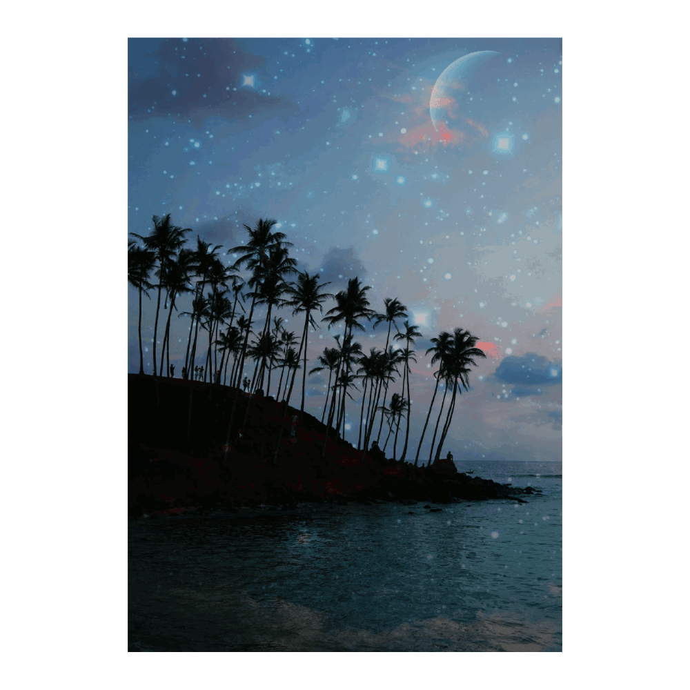 Palm Galaxy