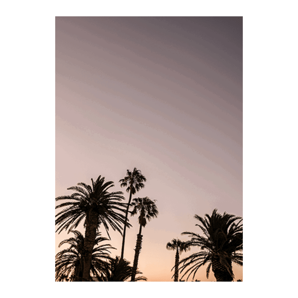 Palm Point