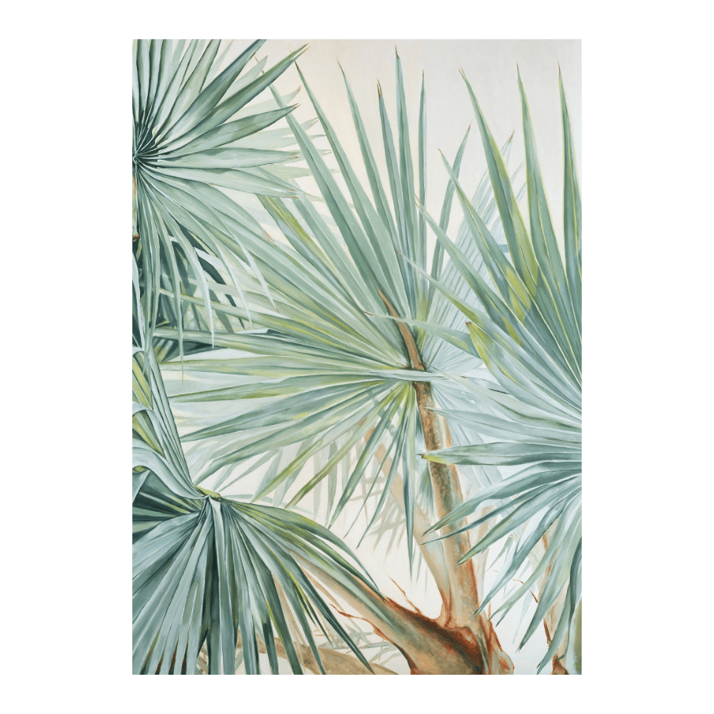 Palms