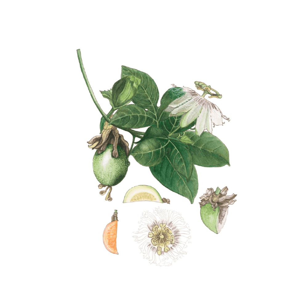 Passion Fruit