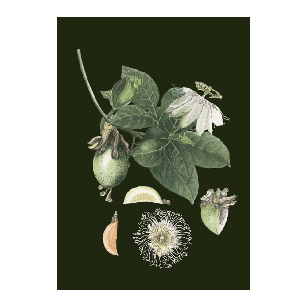 Passion Fruit Forest Green