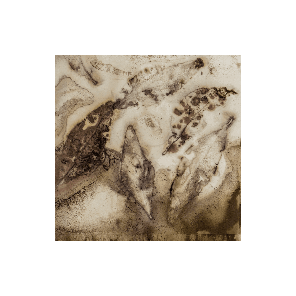 Petal Alchemy II