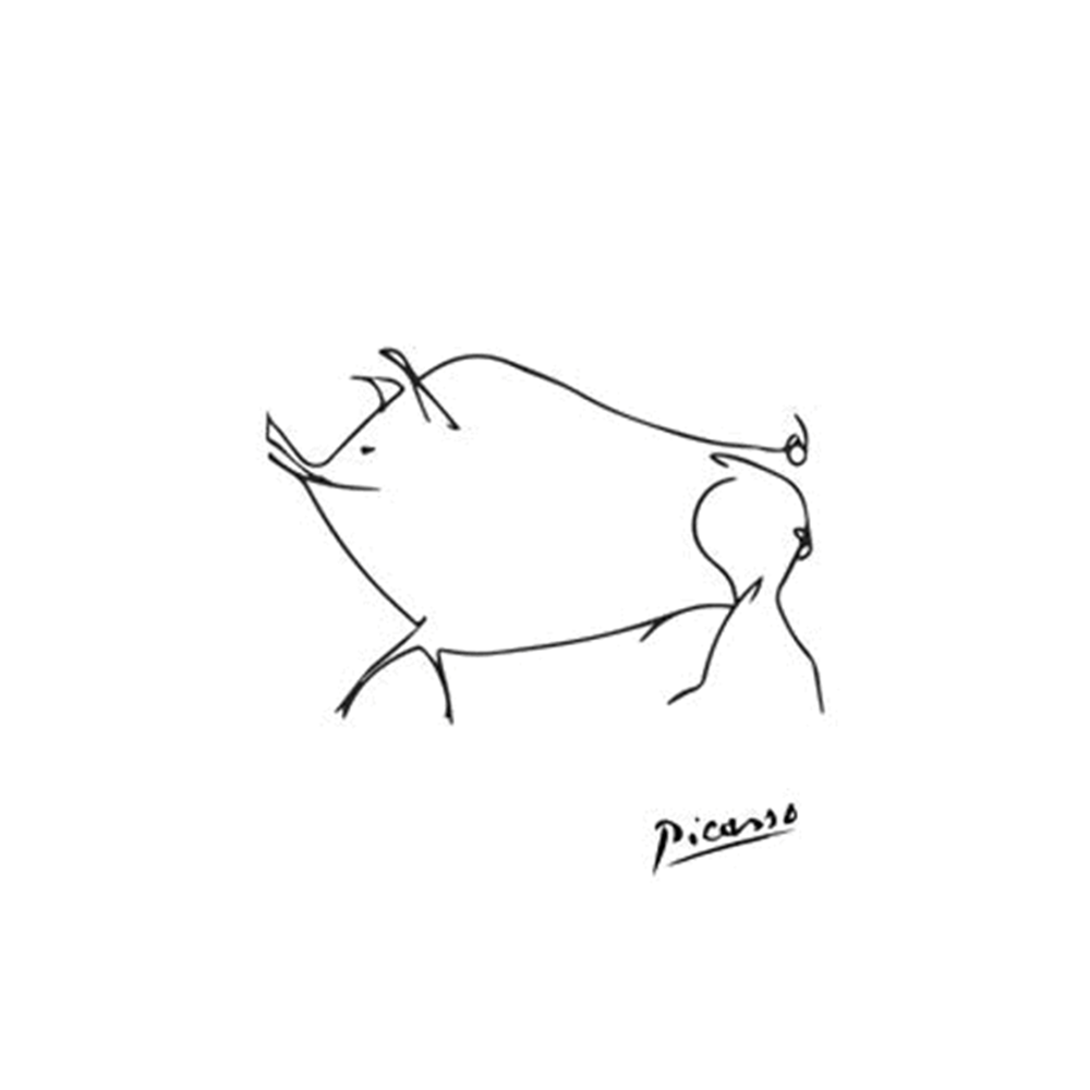 Picasso: Animal Line Drawing Set XII