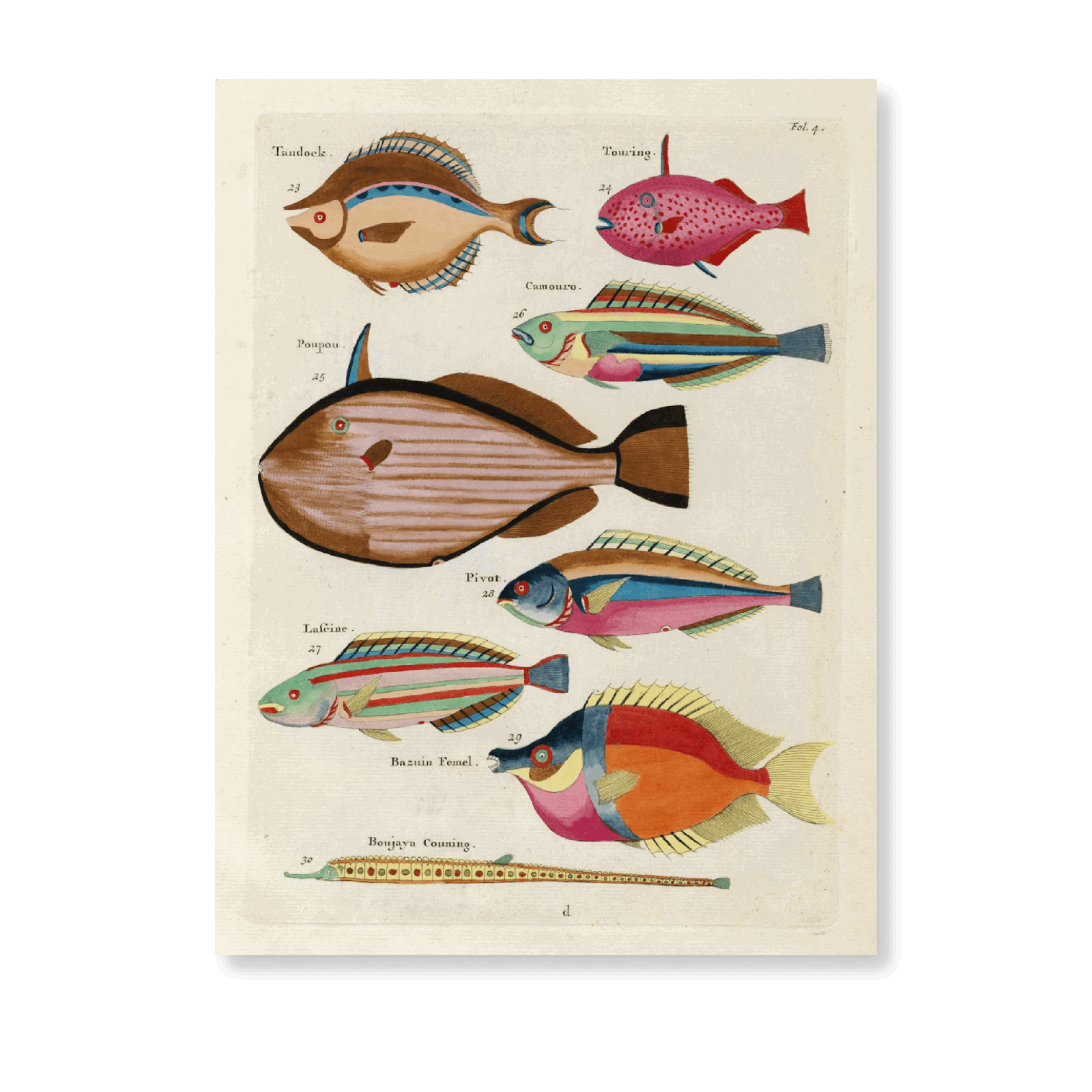 Poissons,Ecrevisses Et Crabes, De Diverses Coulers Et Figures Extraordinaires PI IV - Jasper & Jute