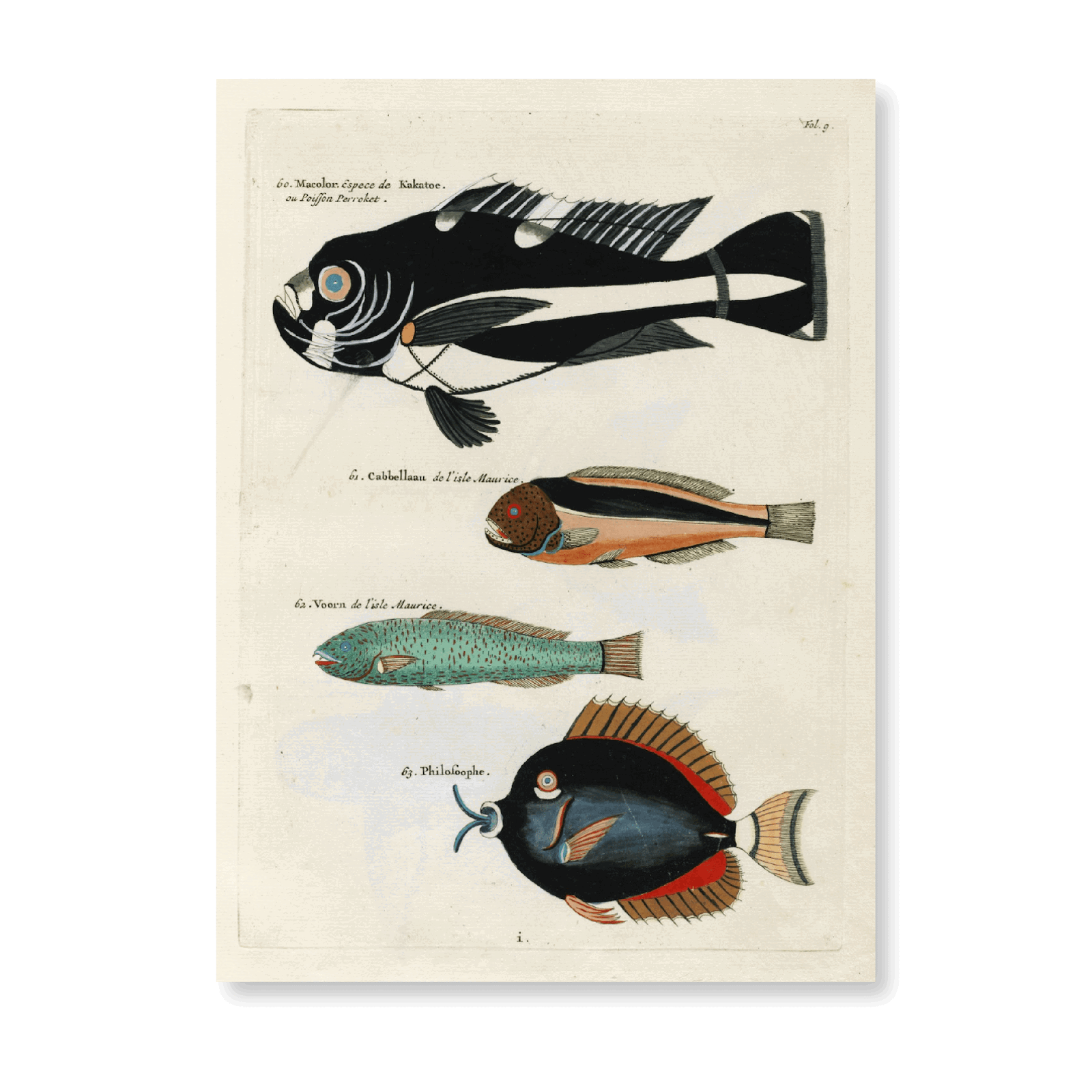 Poissons, Ecrevisses Et Crabes,De Diverses Couleur Et Figures Extraordinaires PI IX - Jasper & Jute