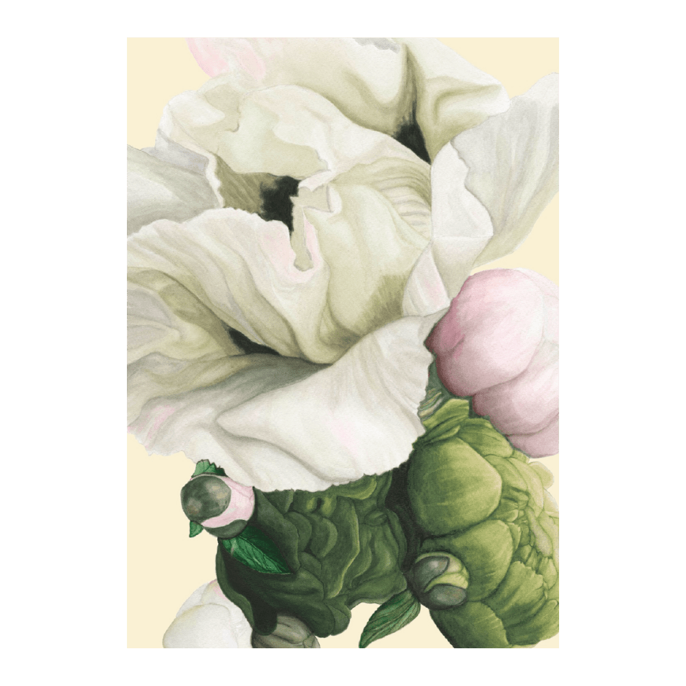 Poppy & Peony Olive & Cream I