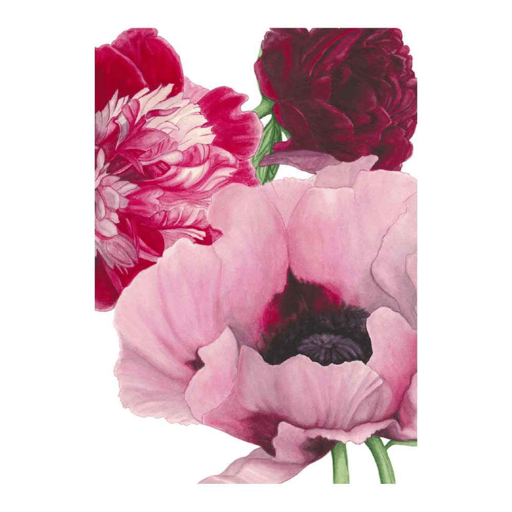Poppy & Peony Pink III