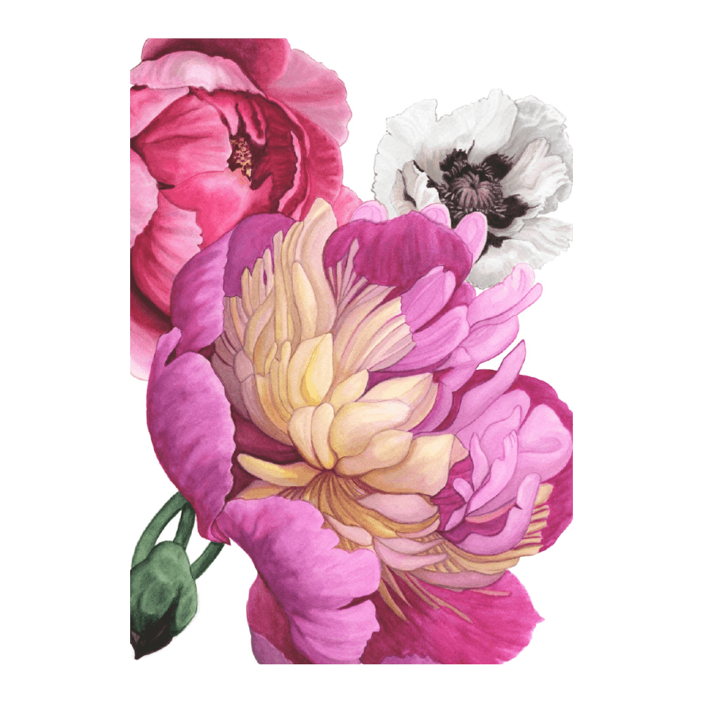 Poppy & Peony Pink IV