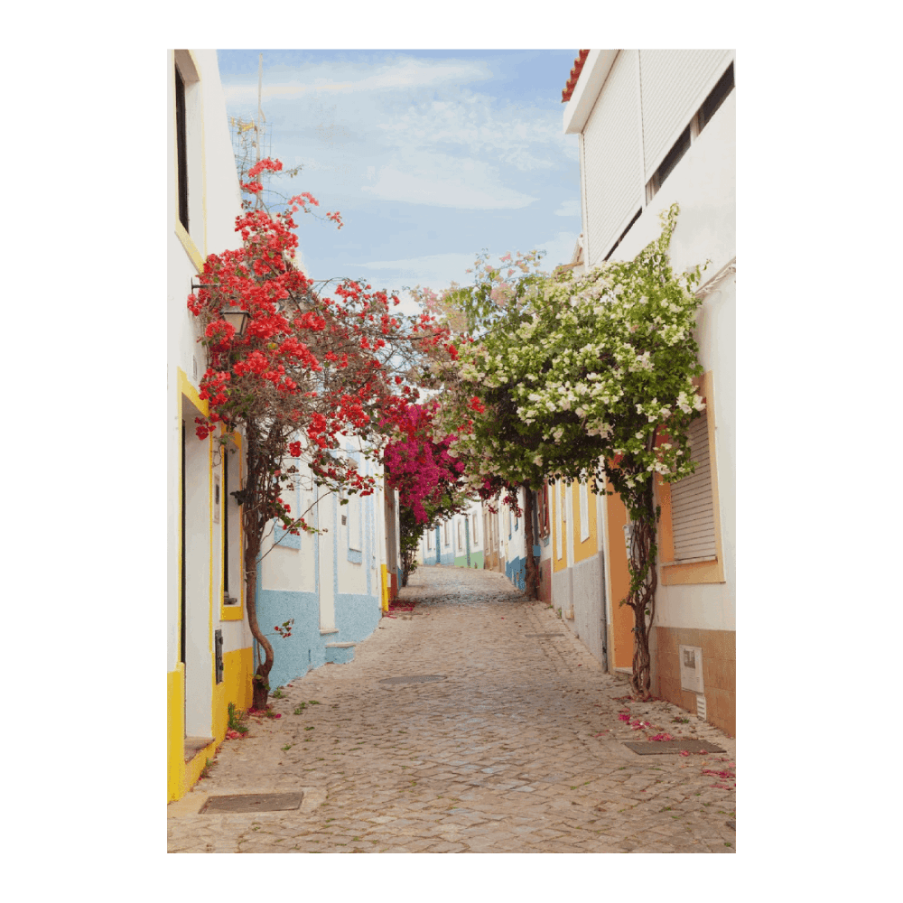 Portugal Travel IV