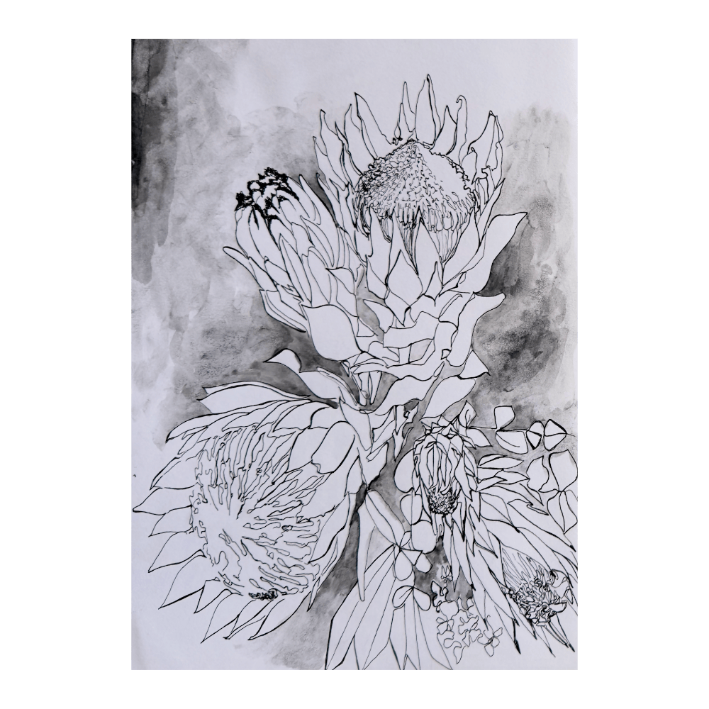 Protea Collage