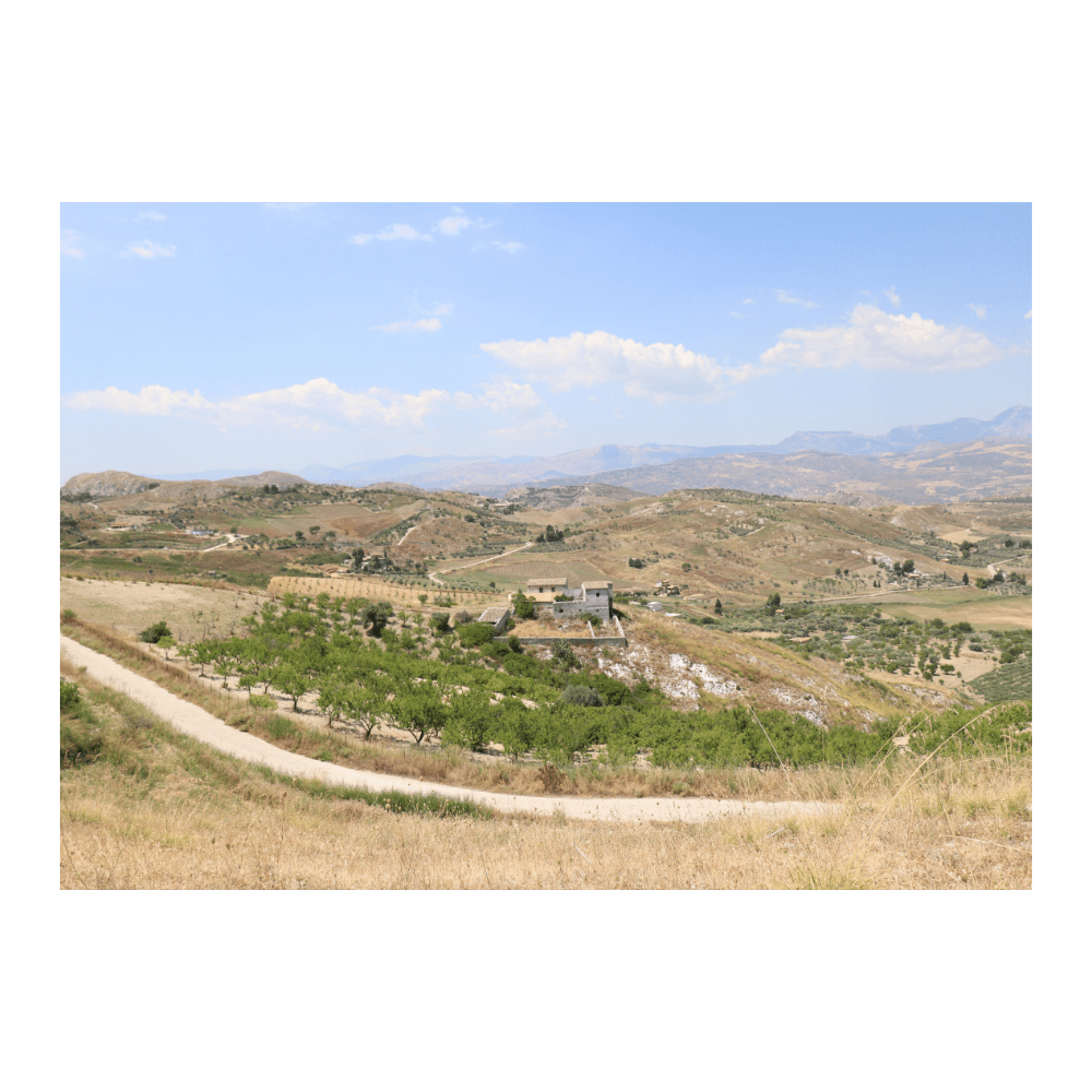 Rolling Hills