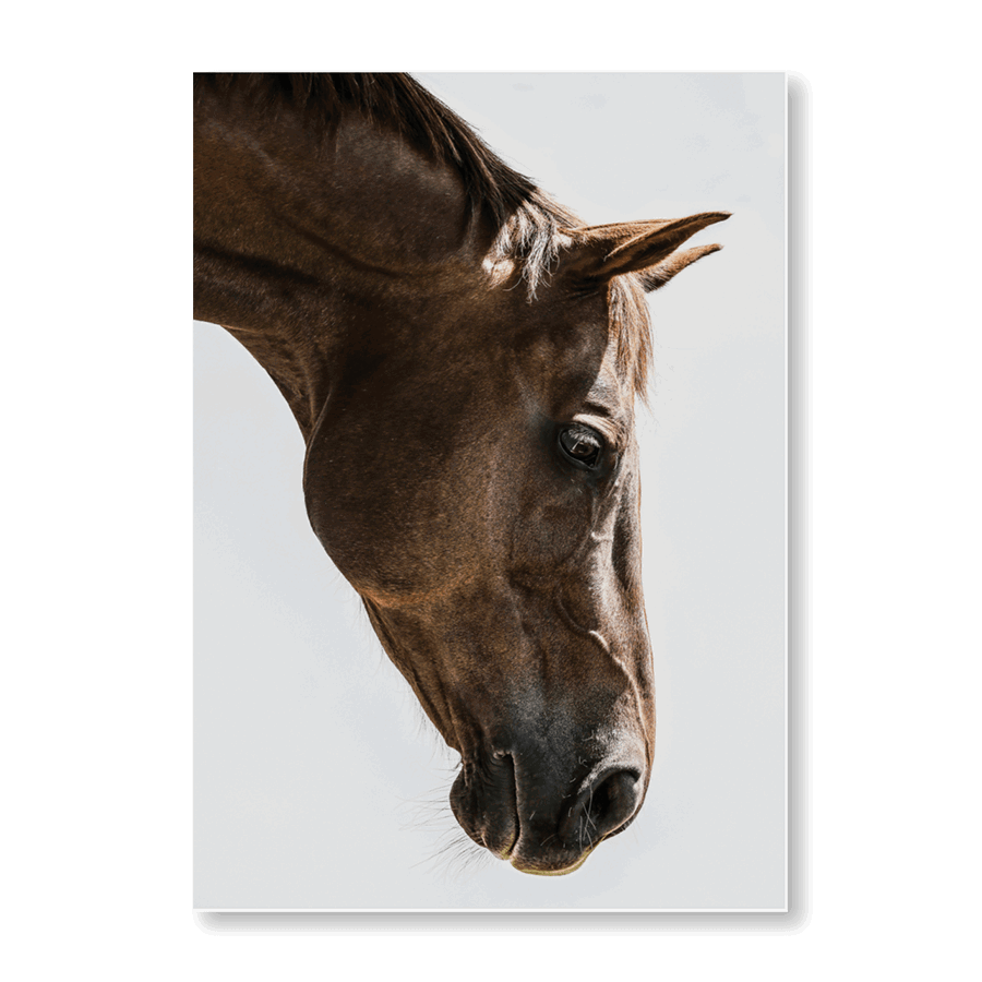 Russian - Jasper & Jute