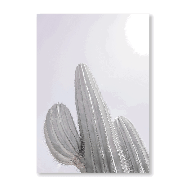 Saguaro_GK-09 - Jasper & Jute