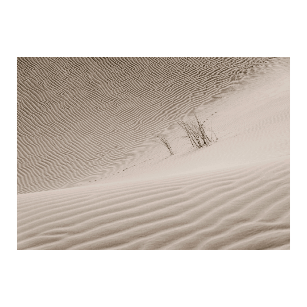 Sahara Sand Dune II