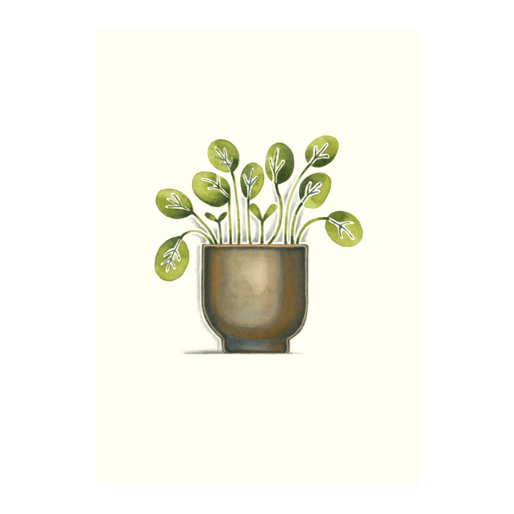 Sappy Leaves