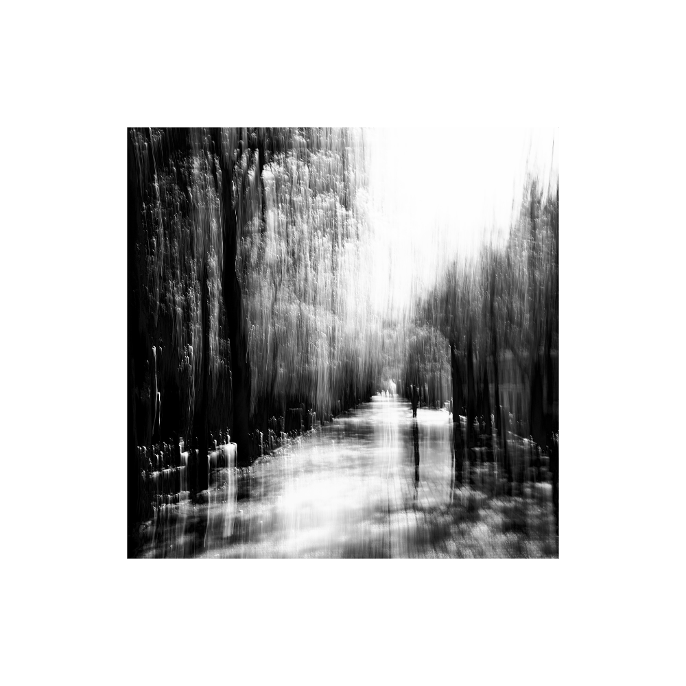 Saturday In The Park