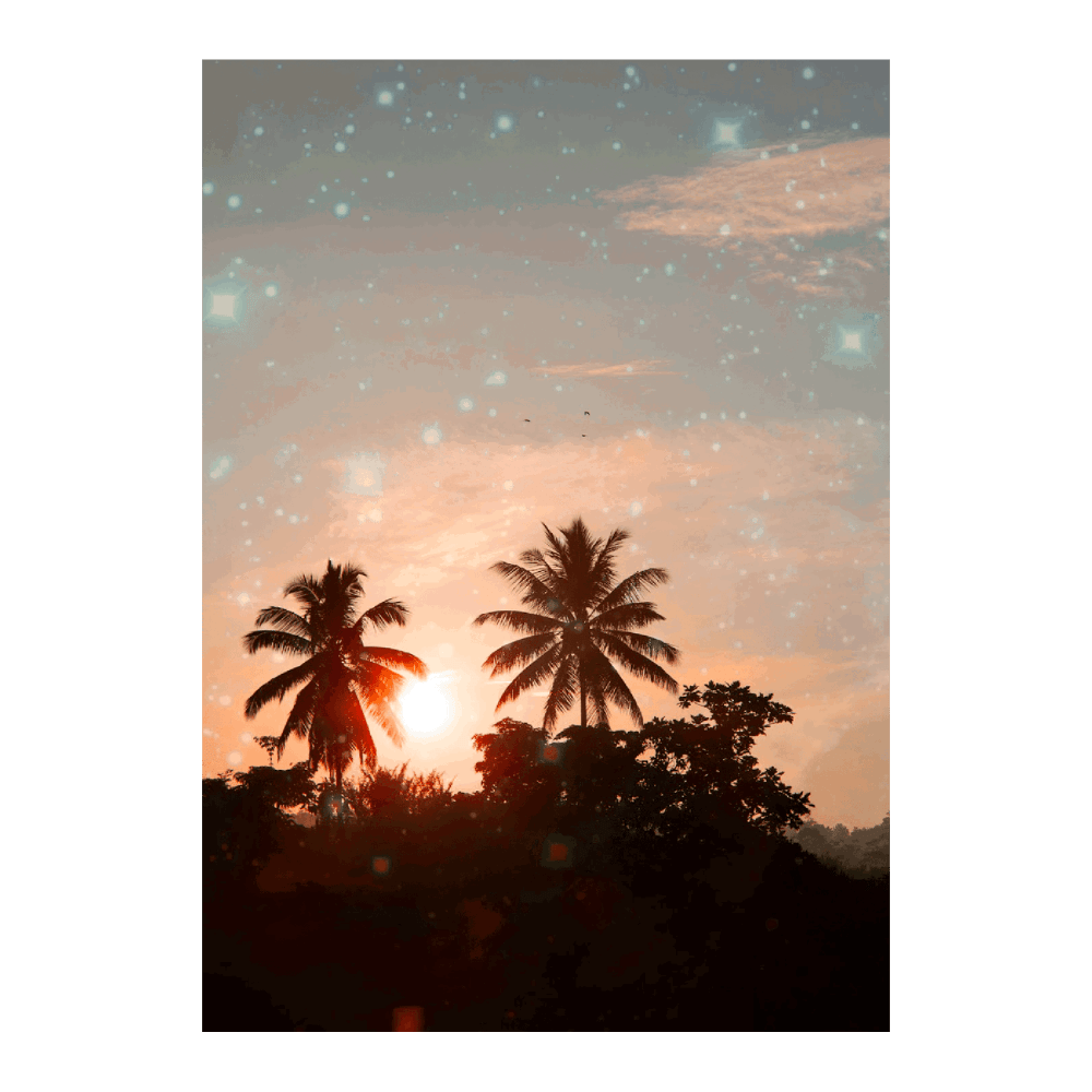 Scenic Echoes