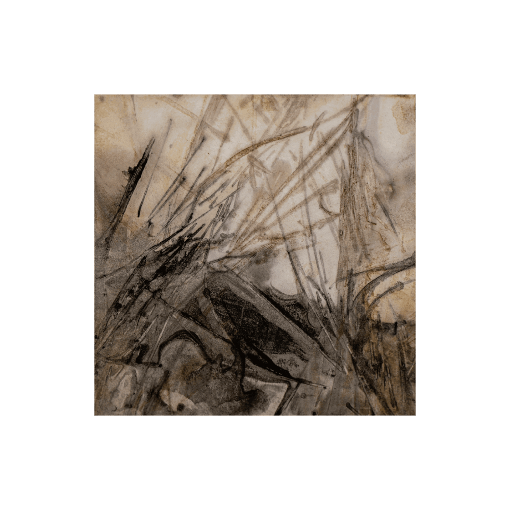 Seeded Dreams II