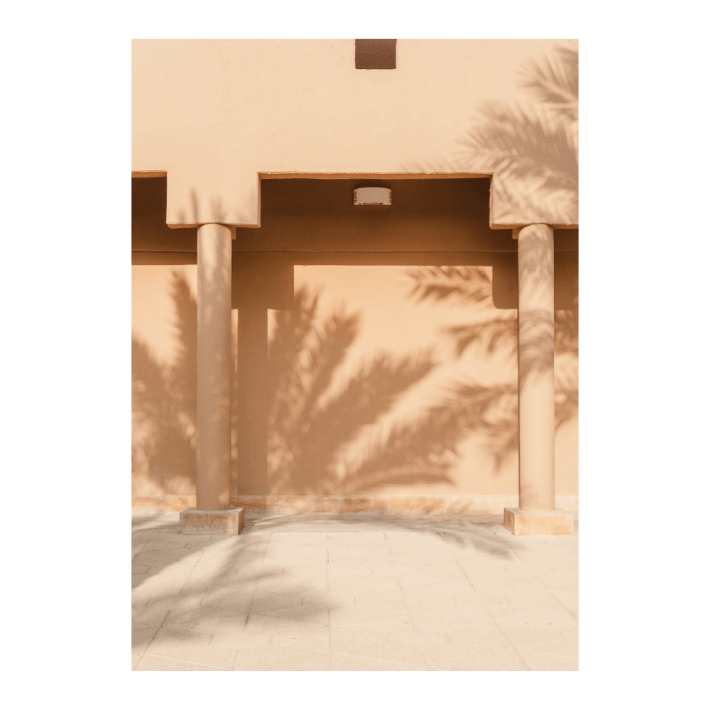 Shadow Of A Palm