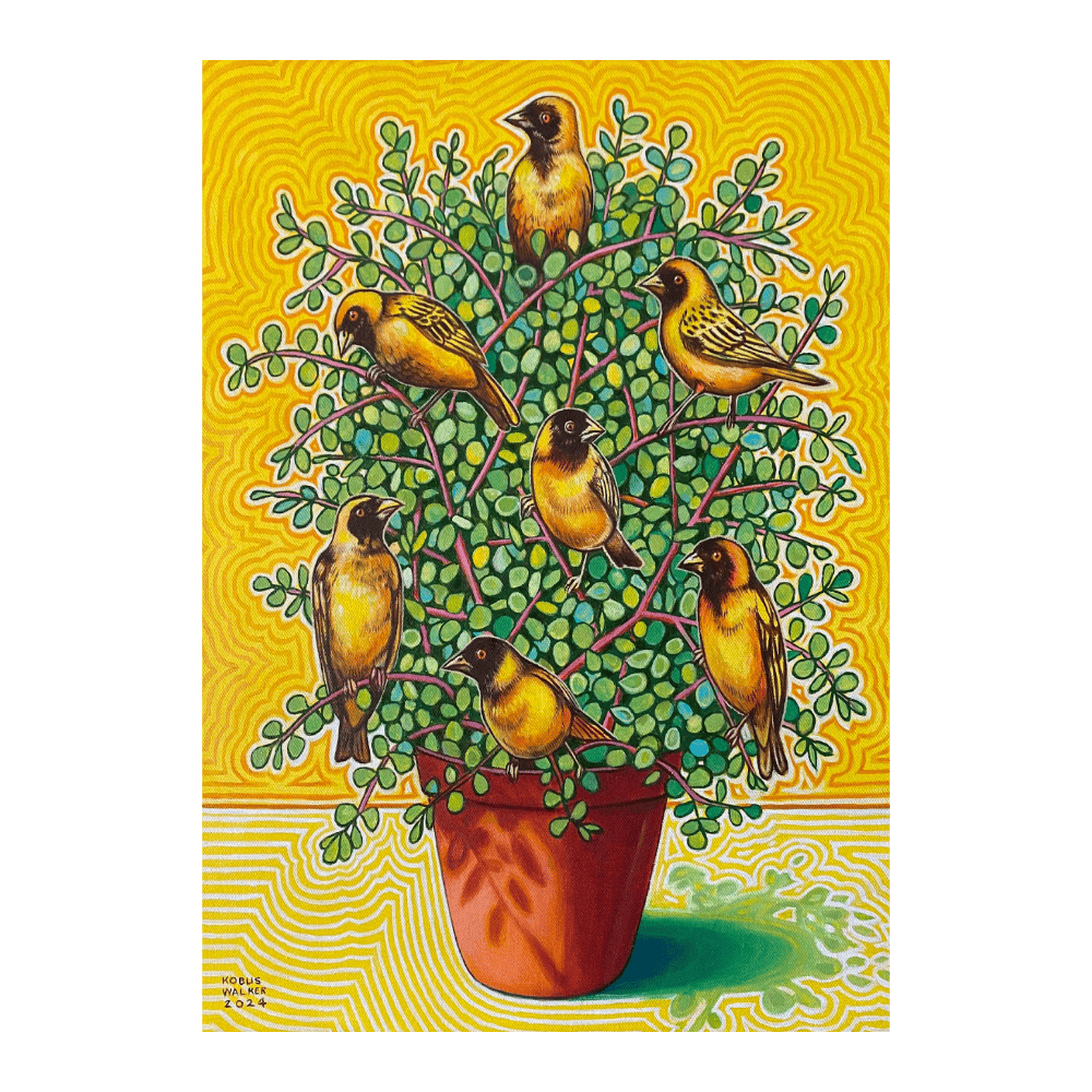 Spekboom With Yellow Weavers