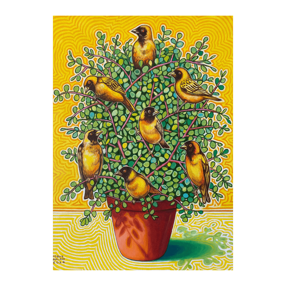 Spekboom With Yellow Weavers