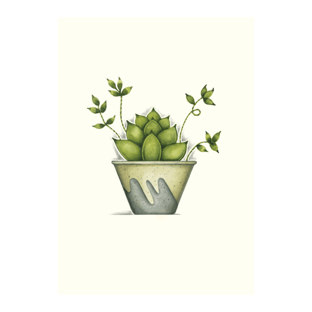 Succulent Planter | Limited Edition
