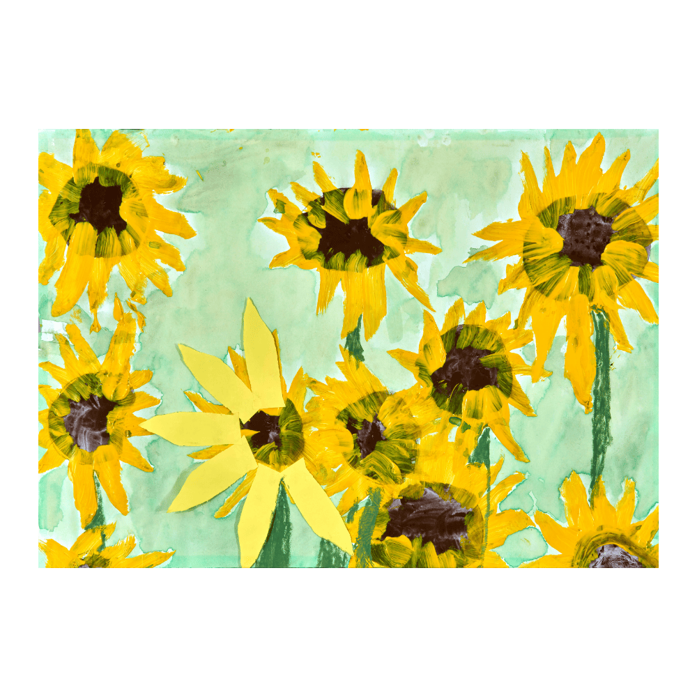 Sunflowers By Jam