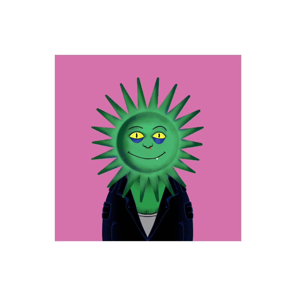 Sunny Fella