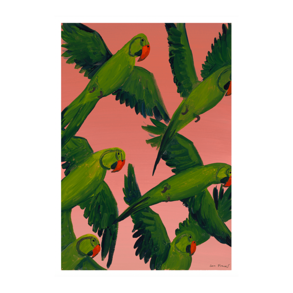 Sunset Parrots | Limited Edition