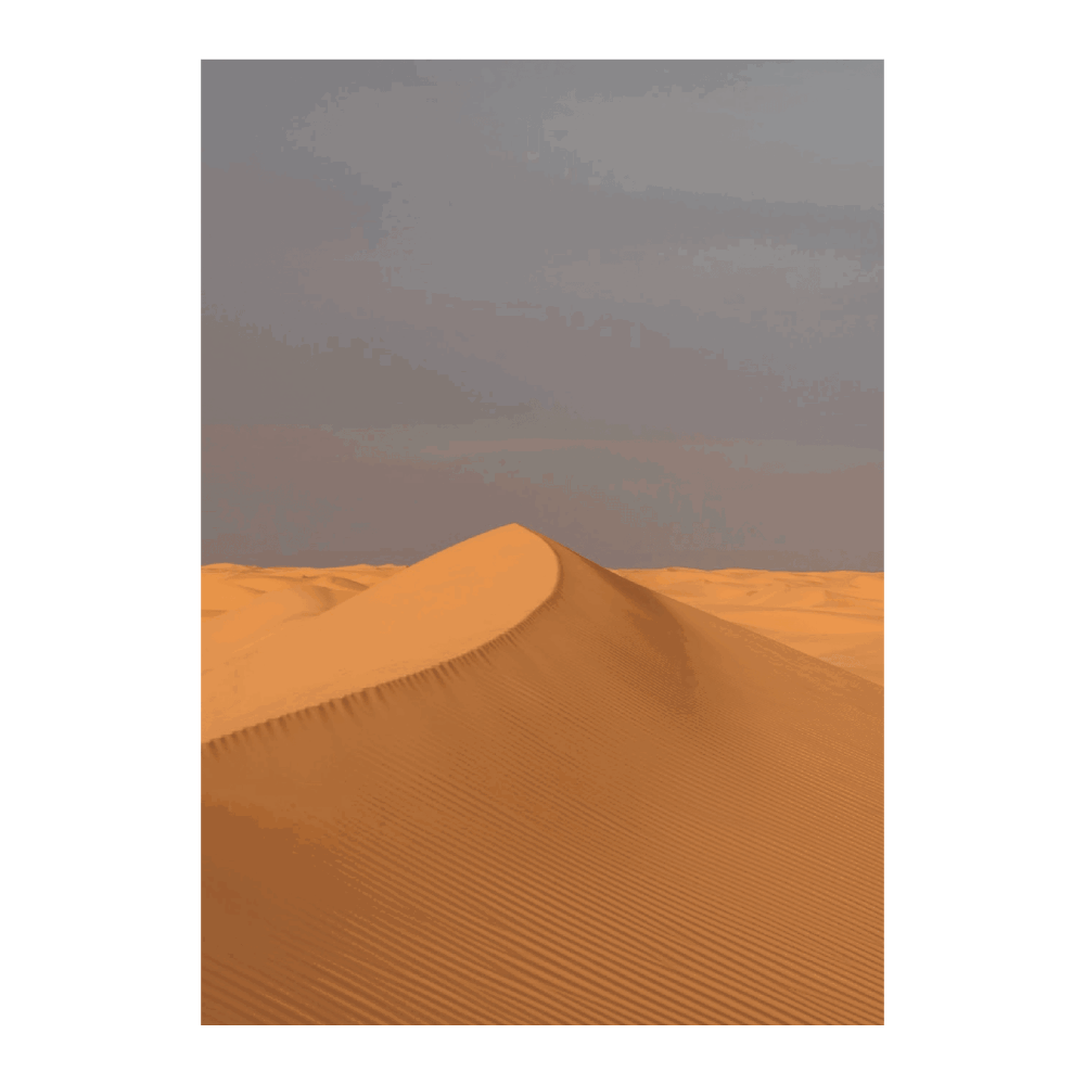 Sunset In The Sahara Desert