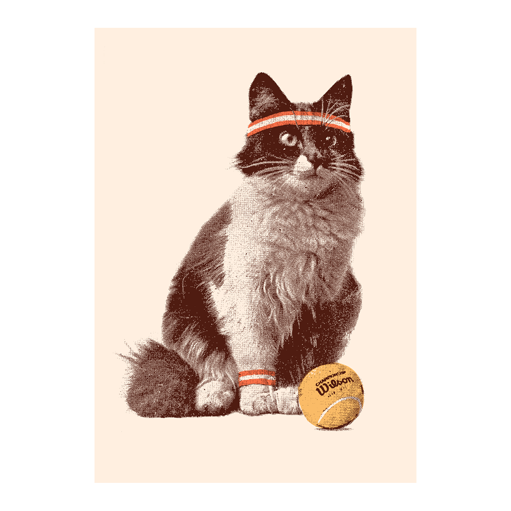 Tennis Cat