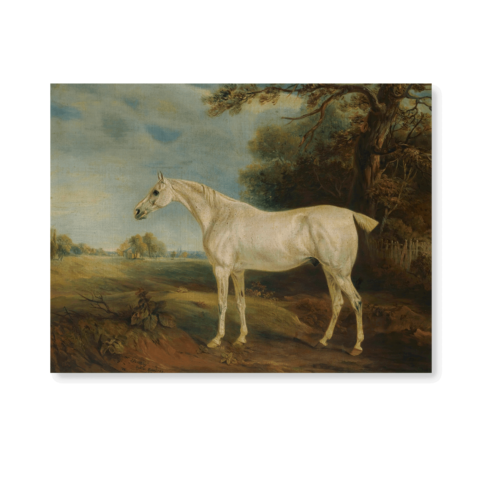 The Marquess Of Huntly's Fleabitten Grey Hunter (1821) - Jasper & Jute