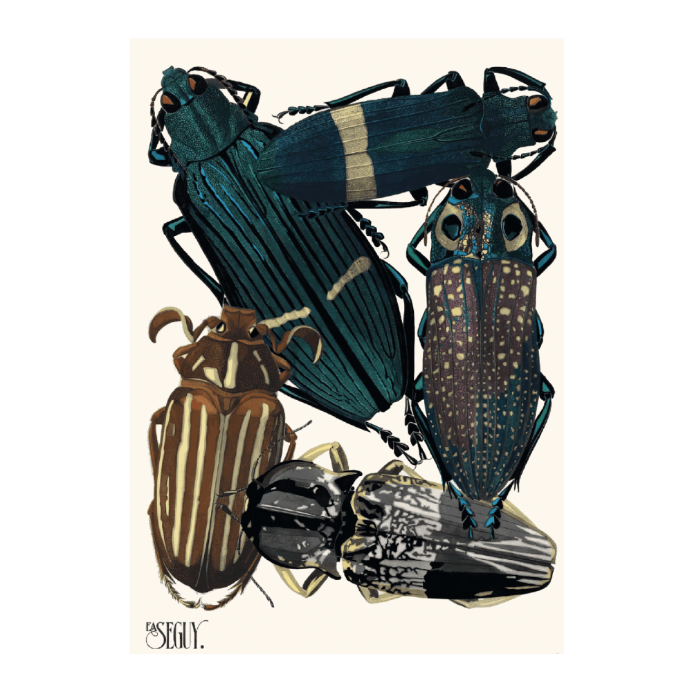 Insectes PI V (1929)