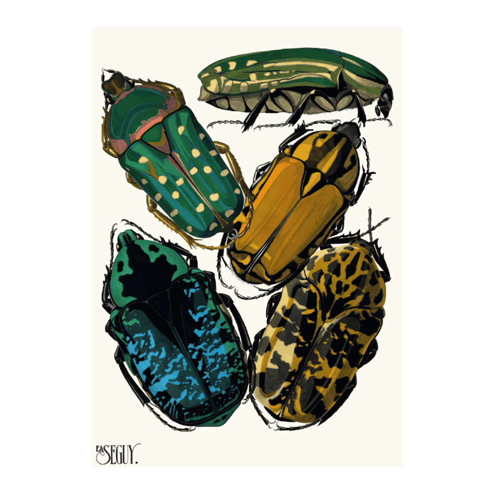 Insectes IV (1929)