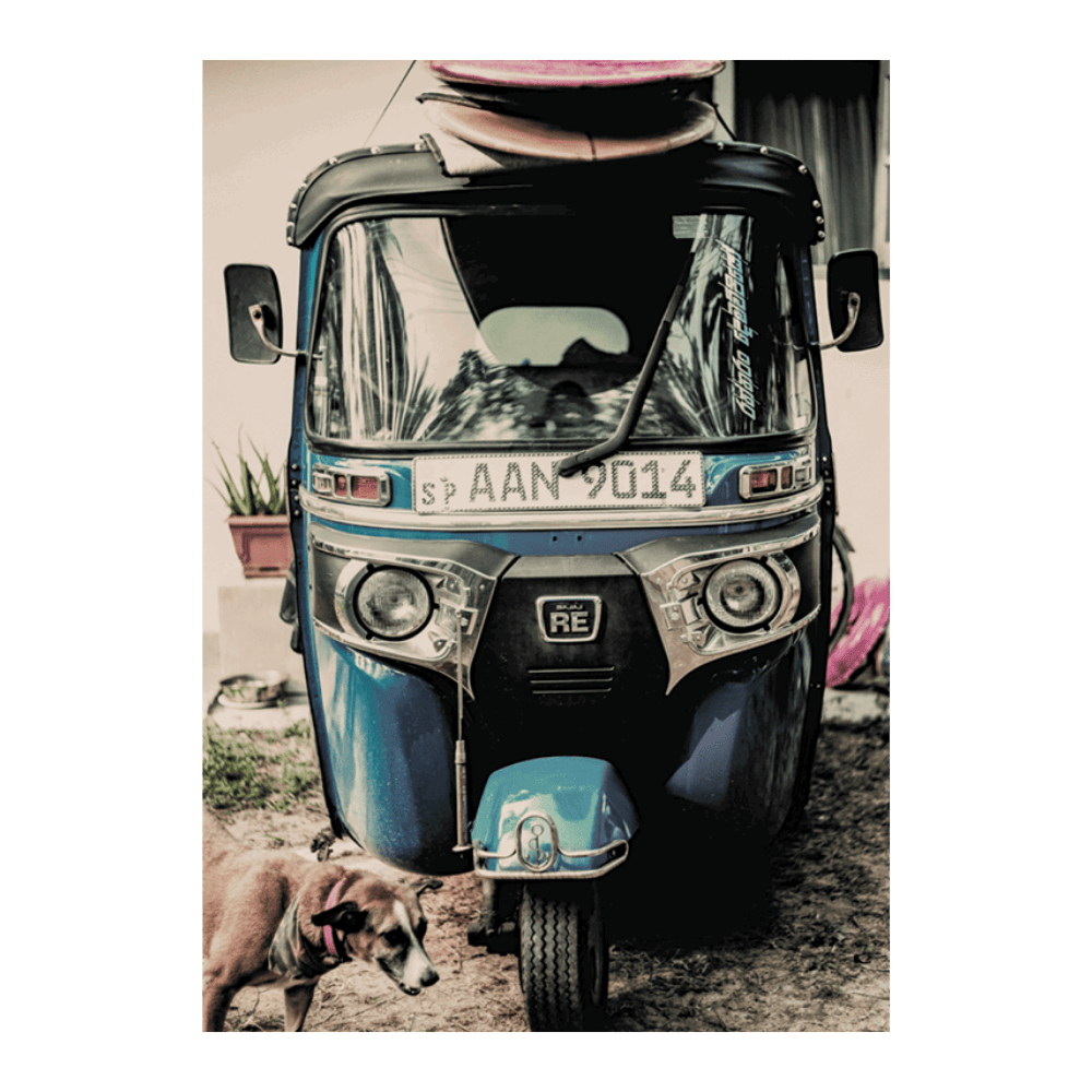 Self-Drive