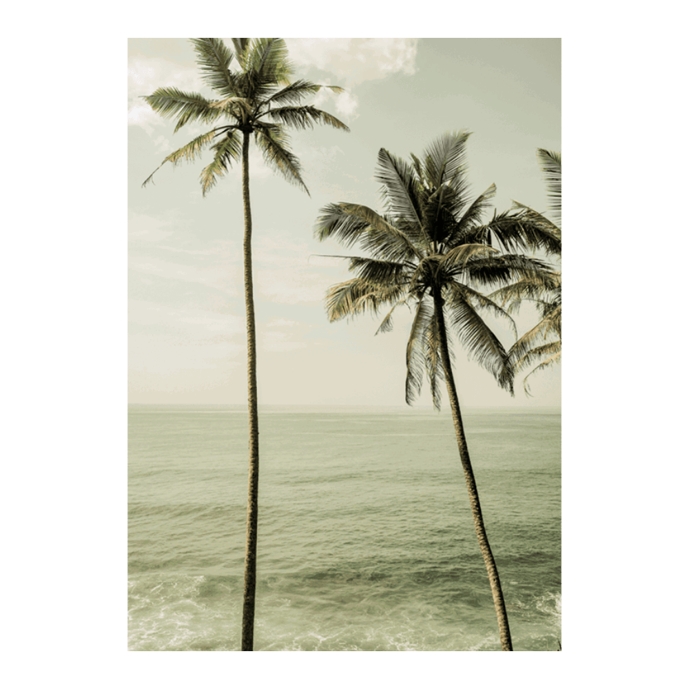 Sea Breeze