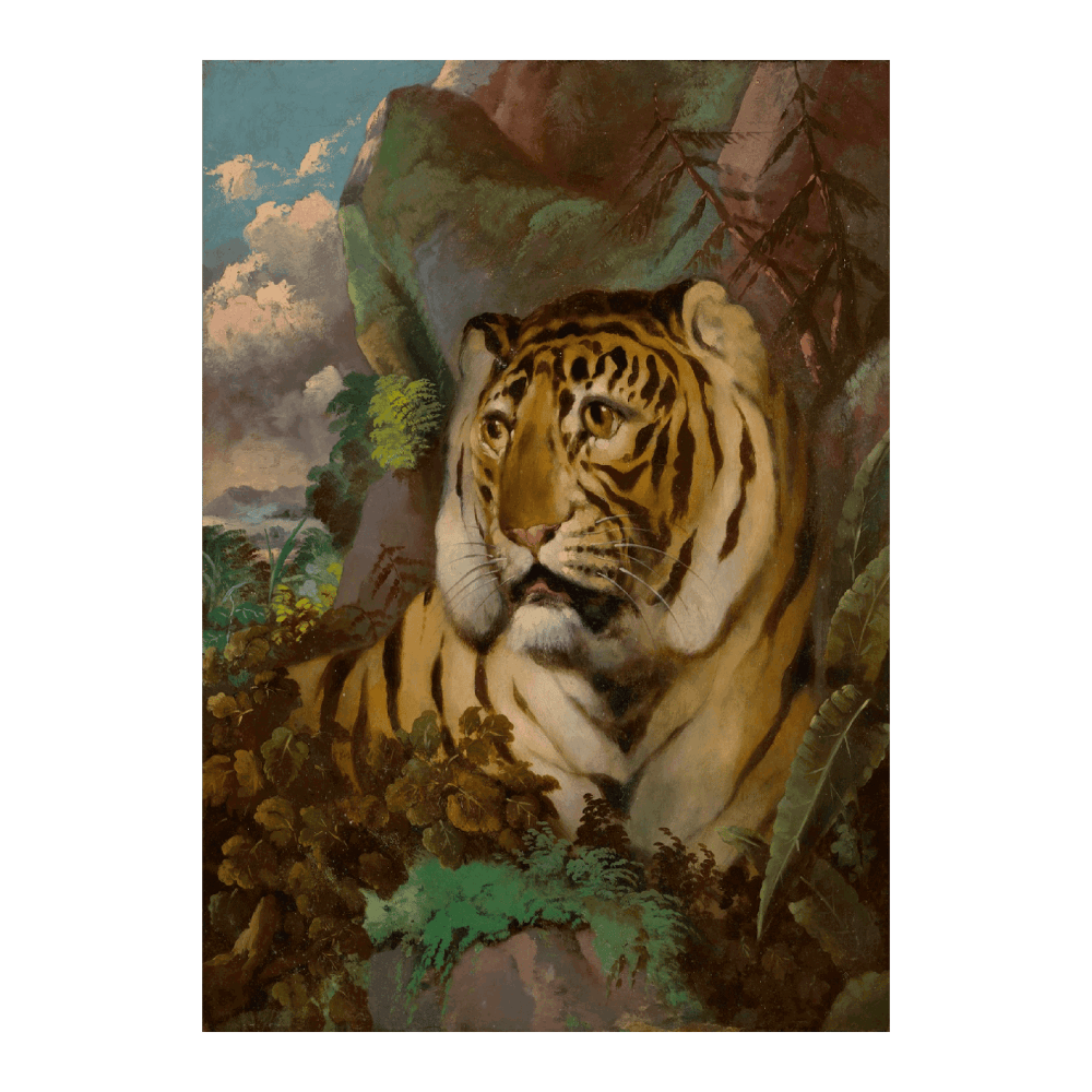 Portrait Of A Tiger