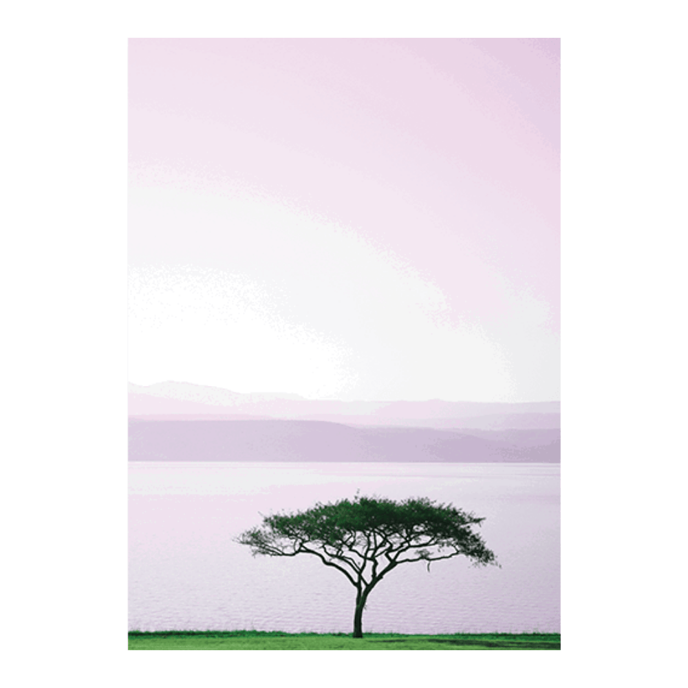 Suesscape II
