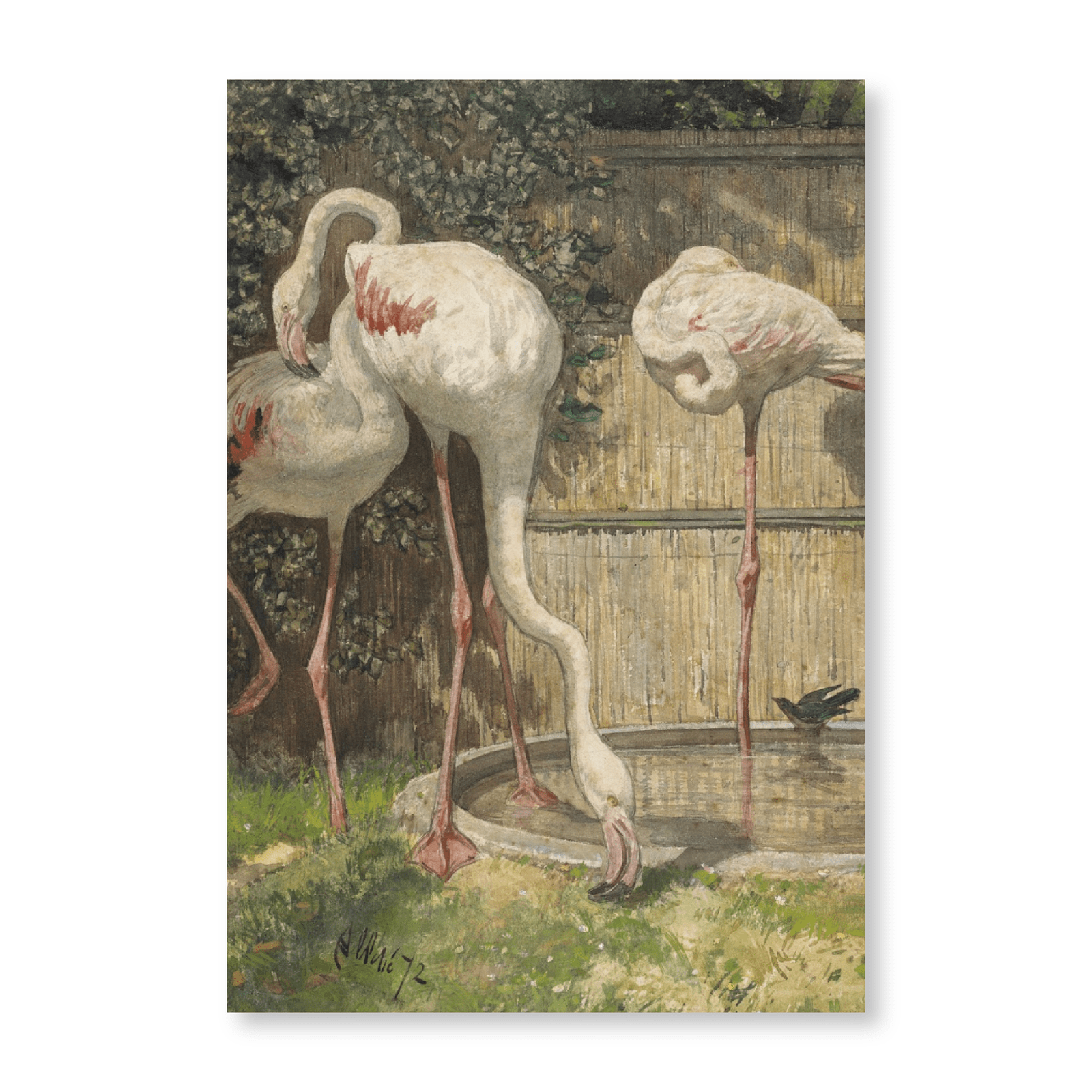 Three Flamingos Near A Basin (1872) - Jasper & Jute