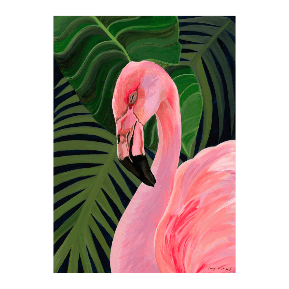 Tropical Flamingo