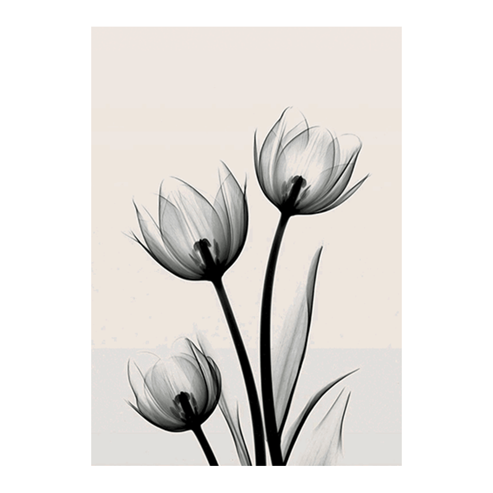 Tulip X-Ray