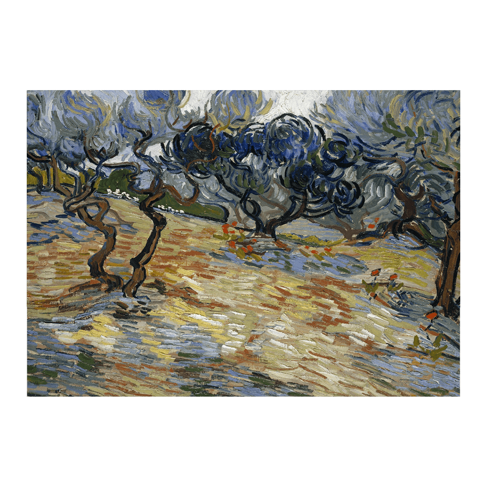 Van Gogh: "Olive Trees